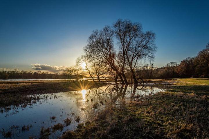 Hotelhafenwedel Bagian luar foto